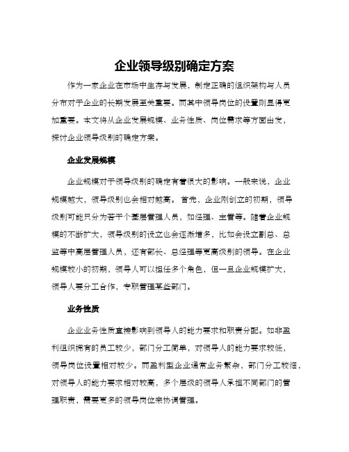 企业领导级别确定方案