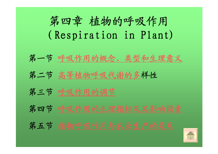 植物生理学第四章 植物的呼吸作用07