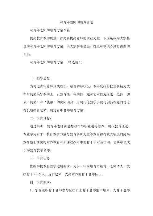 对青年教师的培养计划