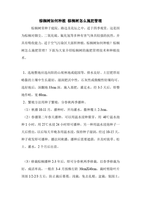 棕榈树如何种植 棕榈树怎么施肥管理.doc