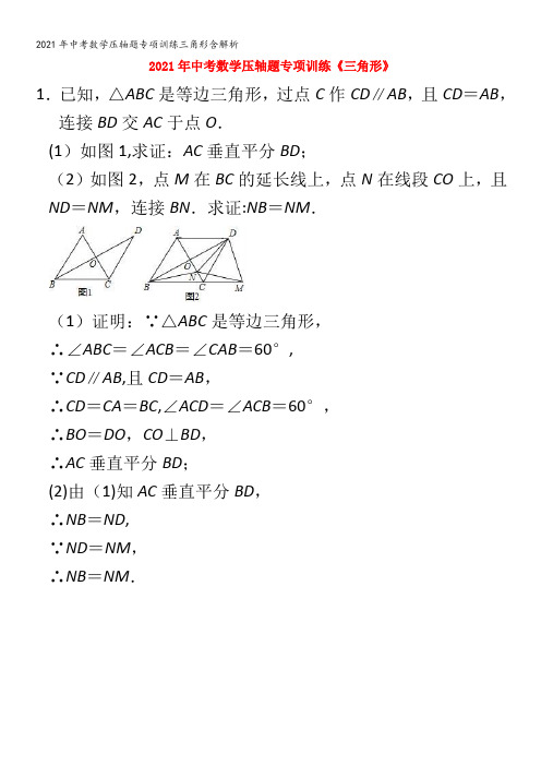 中考数学压轴题专项训练三角形含解析