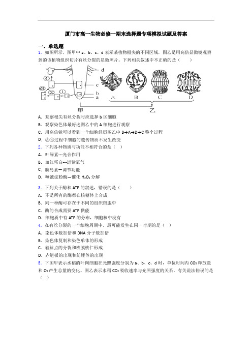 厦门市高一生物必修一期末选择题专项模拟试题及答案