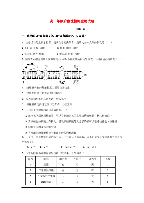 2015-2016学年高一上学期12月月考生物试卷