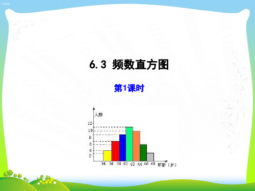 【最新】青岛版九年级数学下册第六章《频数直方图(1)》精品课件.ppt