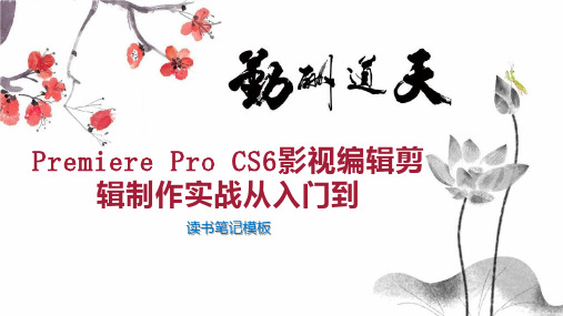 Premiere Pro CS6影视编辑剪辑制作实战从入门到