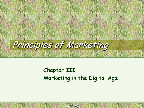 市场营销Chap03 Marketing in the Digital Age