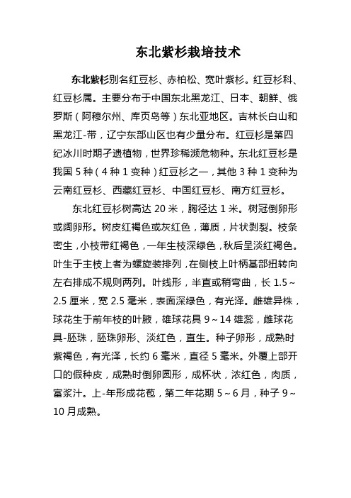 东北紫杉栽培技术