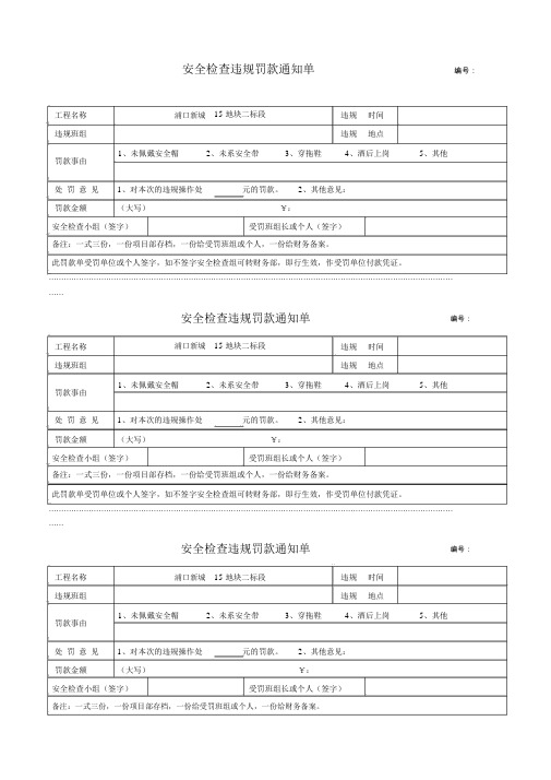 安全检查违规罚款单