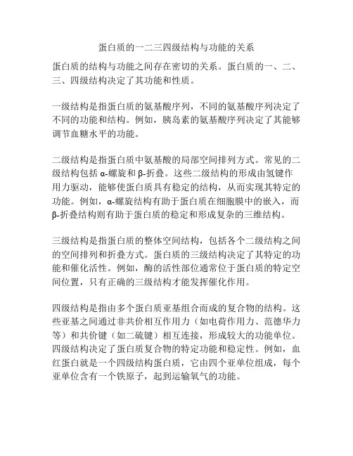 蛋白质的一二三四级结构与功能的关系