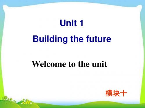 牛津译林版高中英语Module 10 Unit 1 Welcome to the unit教学课件