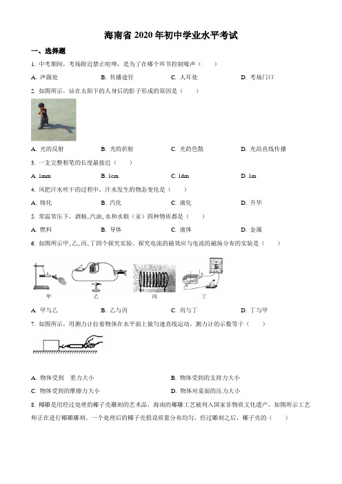 2020年海南省中考物理试题真题(Word+答案+解析)