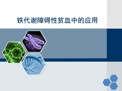 铁代谢障碍性贫血中的应用