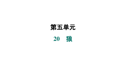 2024年秋部编版七年级语文上册20 狼(习题课件)