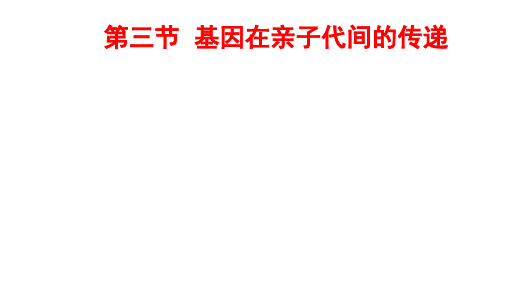 第三节基因在亲子代间的传递课件鲁科版生物八年级下册