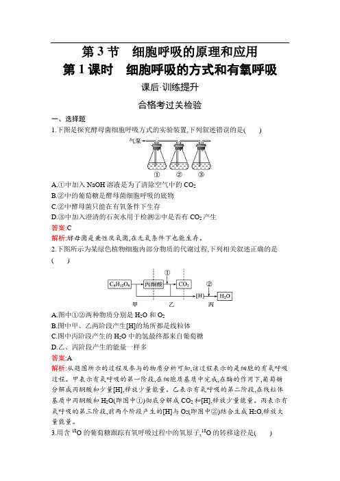 2022-2023学年 人教版  必修一 细胞呼吸的方式和有氧呼吸 作业