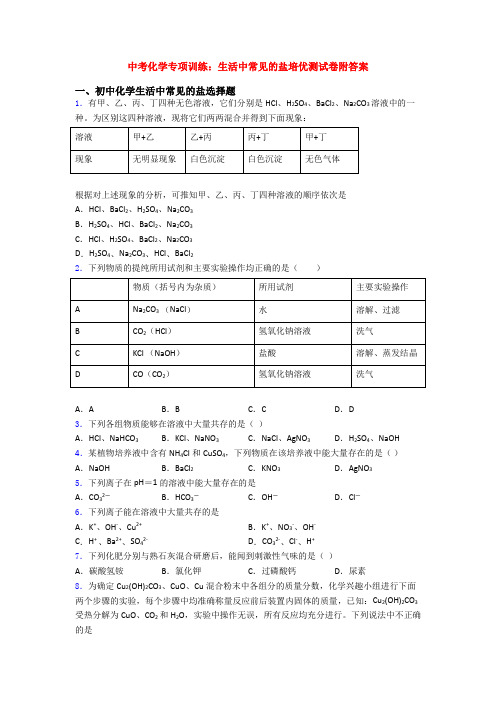 中考化学专项训练：生活中常见的盐培优测试卷附答案