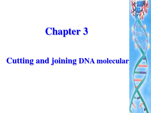 南开大学 基因操作原理 第三章
