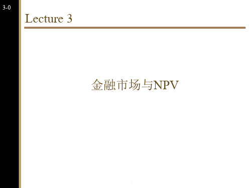 公司理财金融市场与NPV