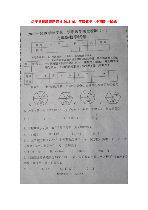 辽宁省抚顺市新宾县2018届九年级数学上学期期中试题 