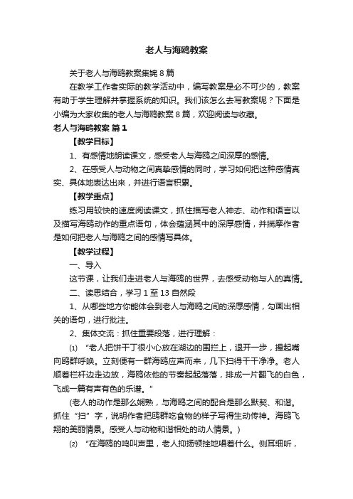 关于老人与海鸥教案集锦8篇