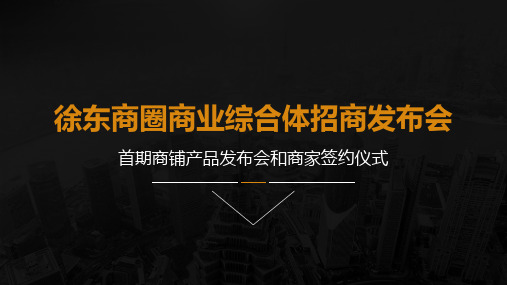 徐东商圈商业综合体招商发布会活动方案