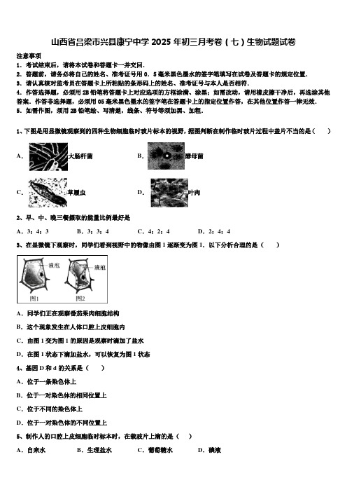 山西省吕梁市兴县康宁中学2025年初三月考卷(七)生物试题试卷含解析