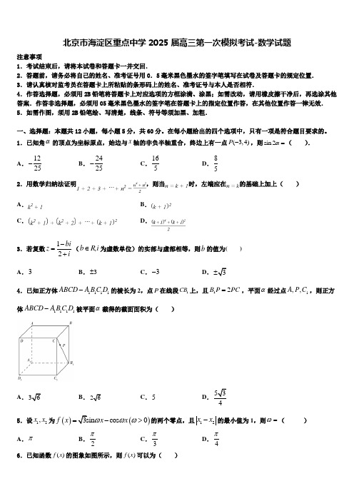 北京市海淀区重点中学2025届高三第一次模拟考试-数学试题