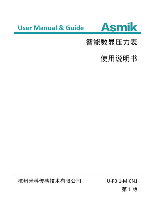 米科U-P3.1-MICN1数显压力表使用说明书