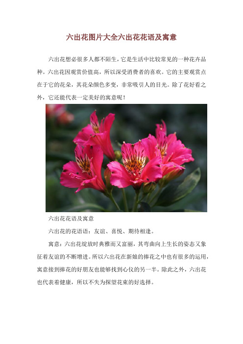 六出花图片大全 六出花花语及寓意