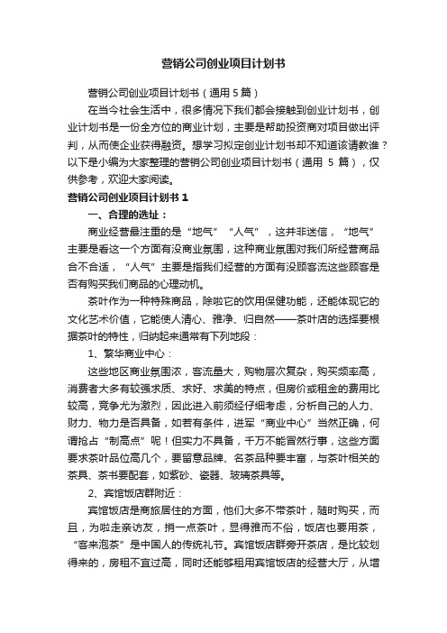 营销公司创业项目计划书（通用5篇）