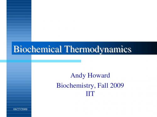 Biochemical Thermodynamics