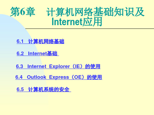 第6章 计算机网络基础知识及Internet应用