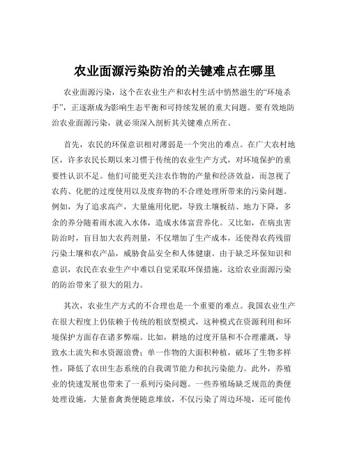 农业面源污染防治的关键难点在哪里