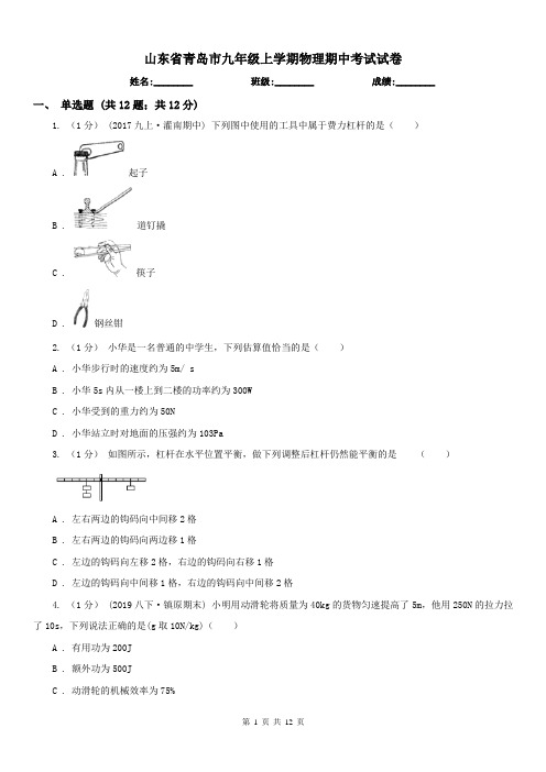 山东省青岛市九年级上学期物理期中考试试卷