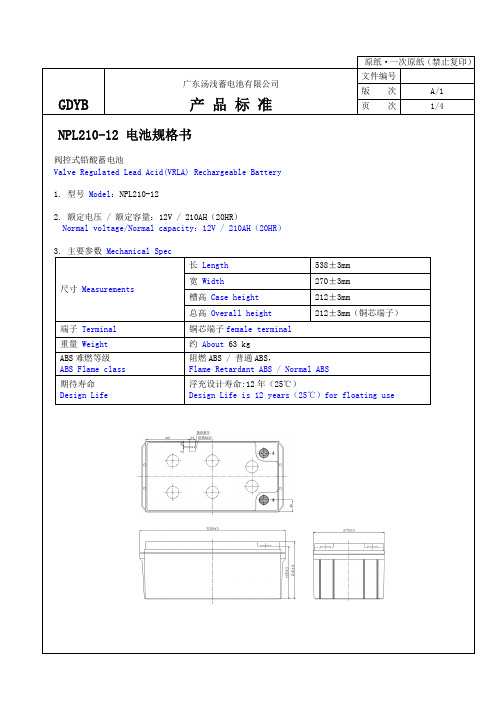 NPL210-12电池规格书(A1.1)
