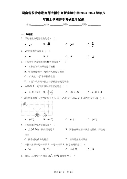 湖南省长沙市湖南师大附中高新实验中学2023-2024学年八年级上学期开学考试数学试题