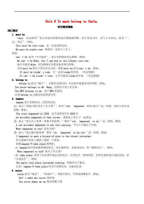 九年级英语全册Unit8ItmustbelongtoCarla词句精讲精练新版人教新目标版