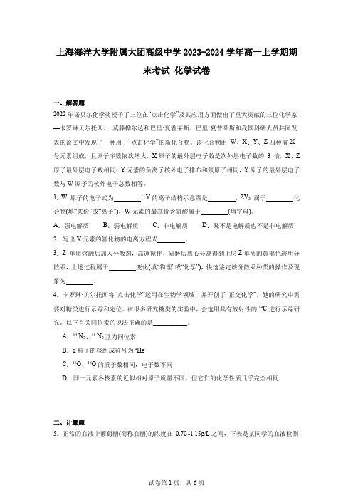 上海海洋大学附属大团高级中学2023-2024学年高一上学期期末考试化学试卷