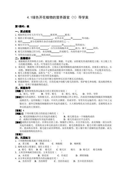 4.1绿色开花植物的营养器官(第1课时)学案