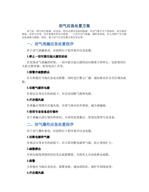 沼气应急处置方案