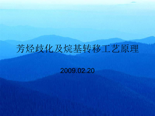 芳烃歧化及烷基转移工艺原理解析