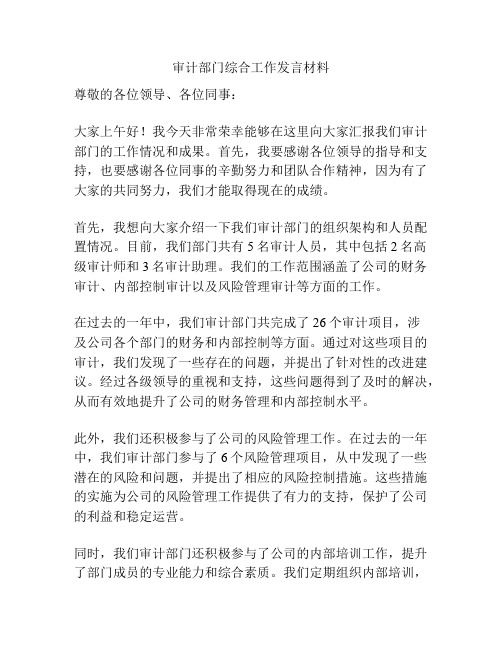 审计部门综合工作发言材料