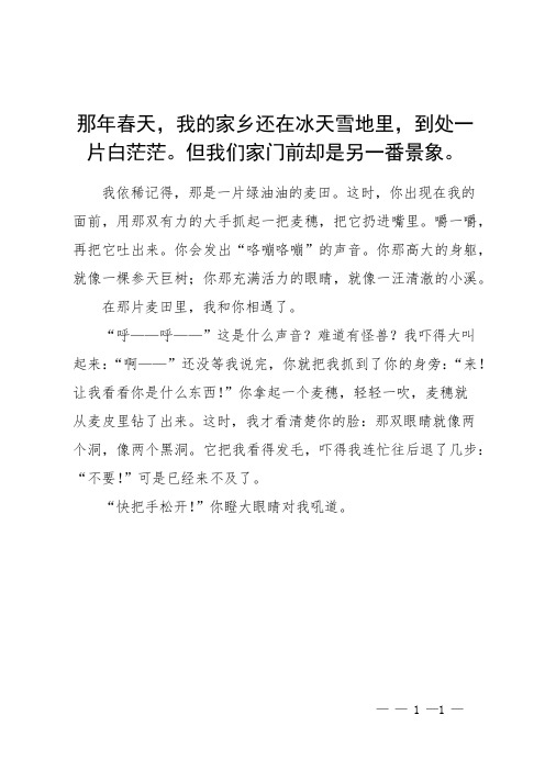 一次相逢一根暖六年级作文