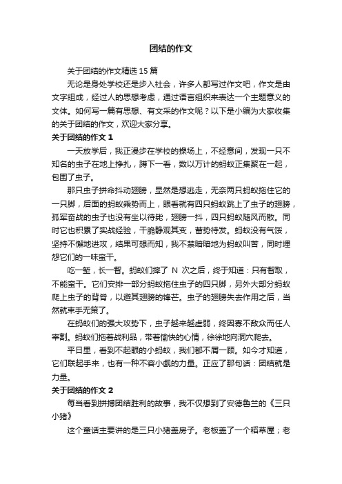 关于团结的作文精选15篇