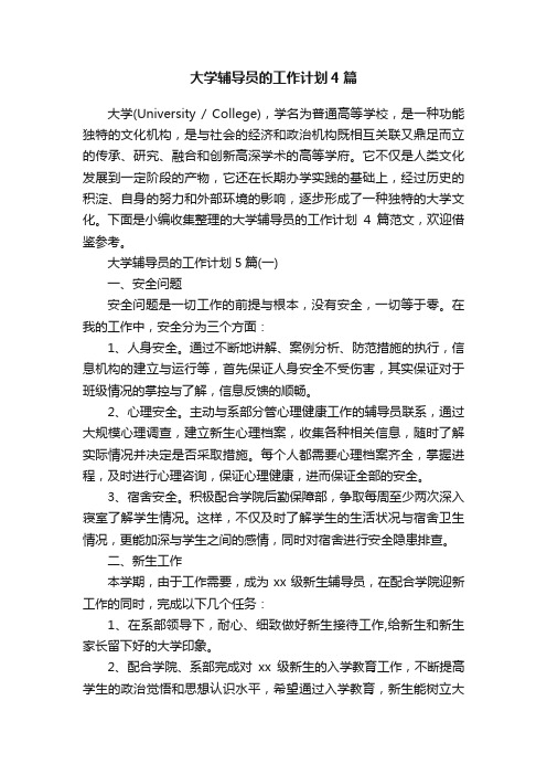 大学辅导员的工作计划4篇