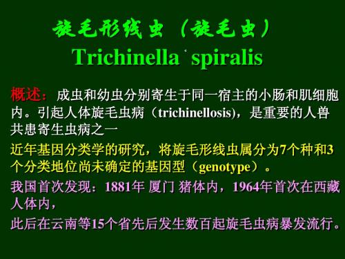 病原旋毛虫、丝虫