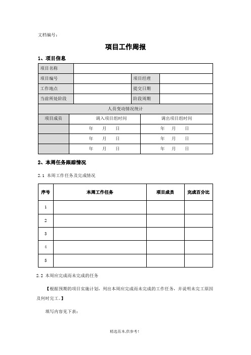 项目工作周报模板