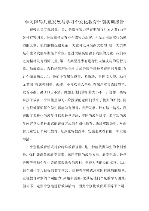 学习障碍儿童发展与学习个别化教育计划实训报告