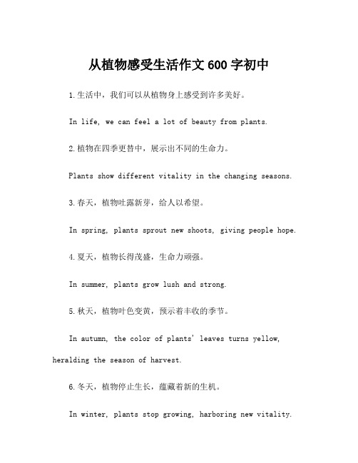 从植物感受生活作文600字初中