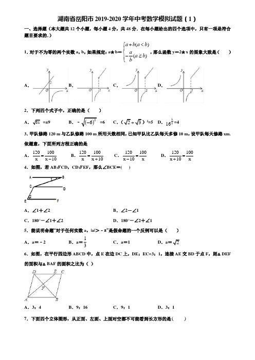 湖南省岳阳市2019-2020学年中考数学模拟试题(1)含解析